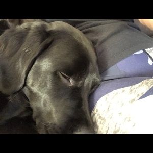 Meet your Posher, Ruthie